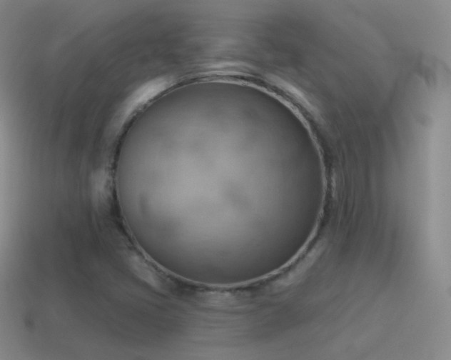 X0000115591405200911101229