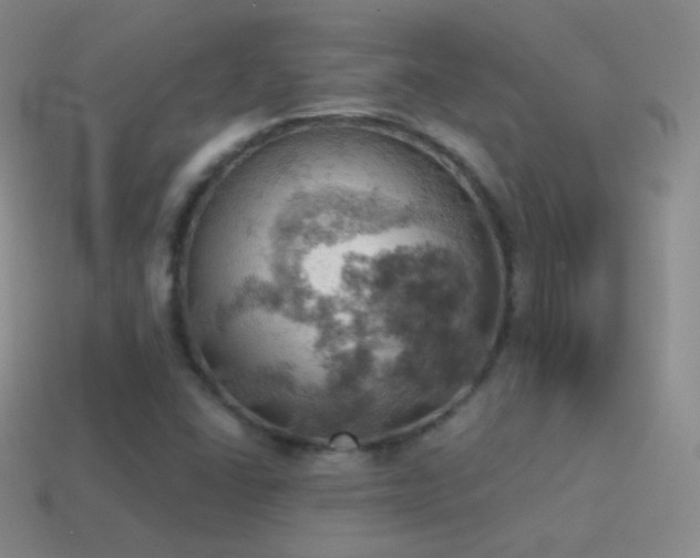 X0000115591406200911101229