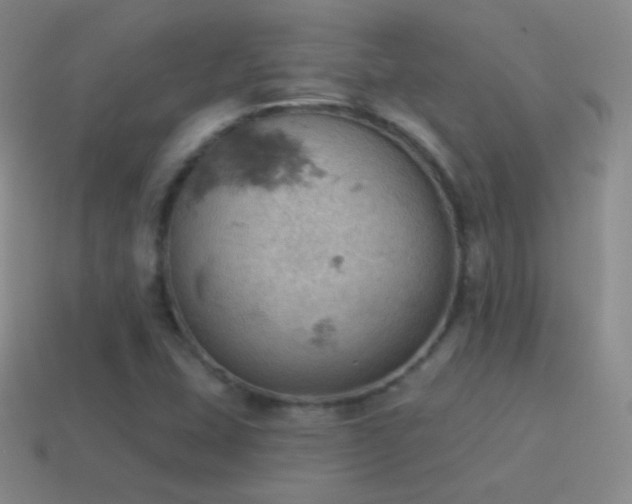 X0000115591407200911101229