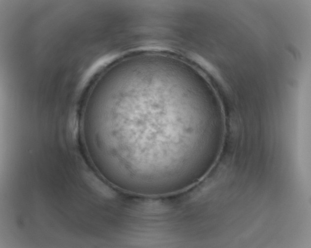 X0000115591408200911101229