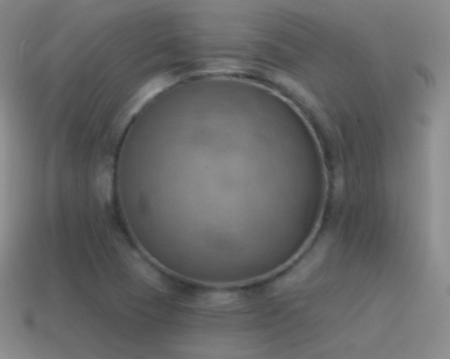 X0000115591409200911101229