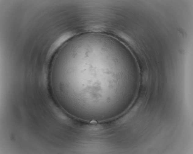 X0000115591410200911101229