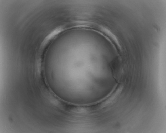 X0000115591411200911101229