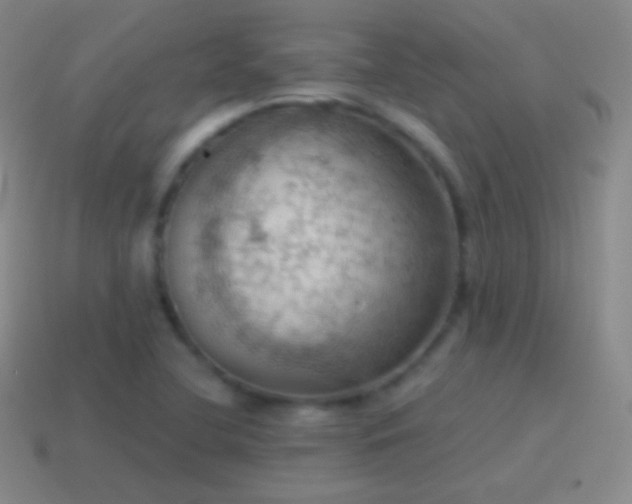 X0000115591412200911101229