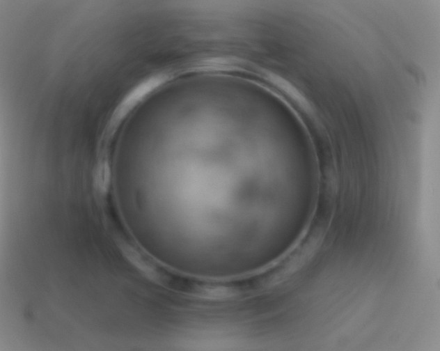 X0000115591413200911101229