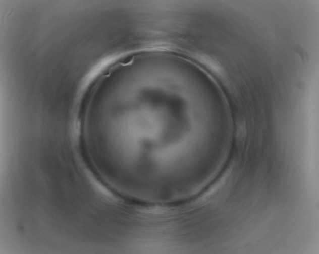 X0000115591414200911101229