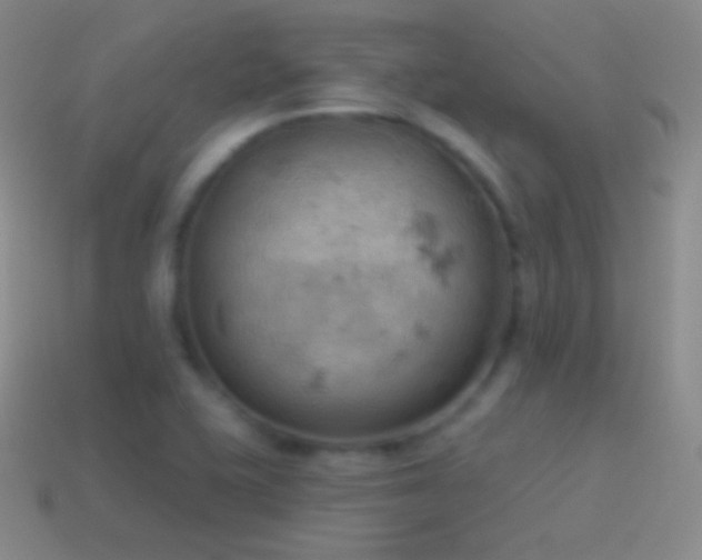 X0000115591415200911101229