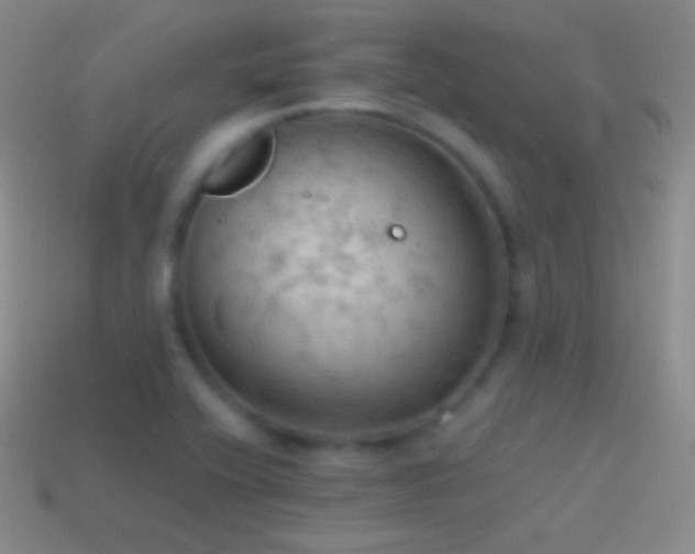 X0000115591416200911101229