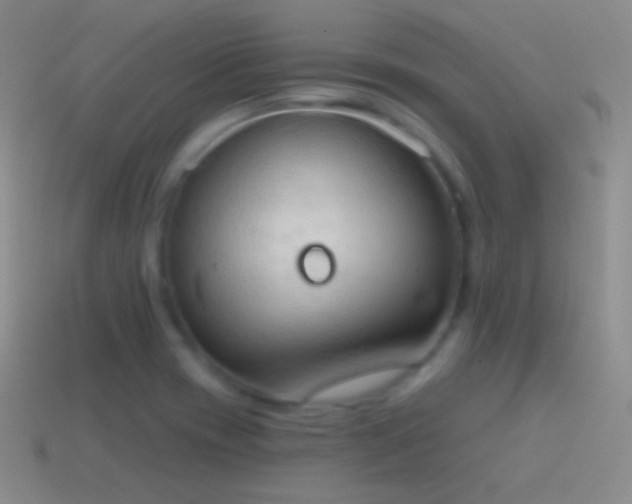 X0000115591417200911101229