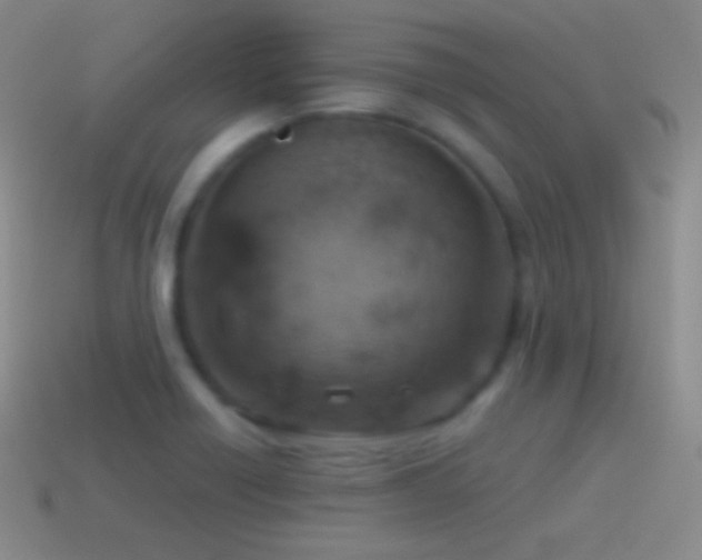 X0000115591418200911101229