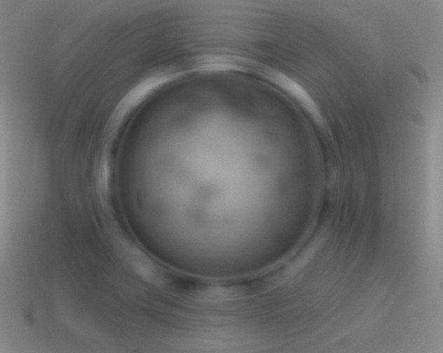 X0000115591419200911101229