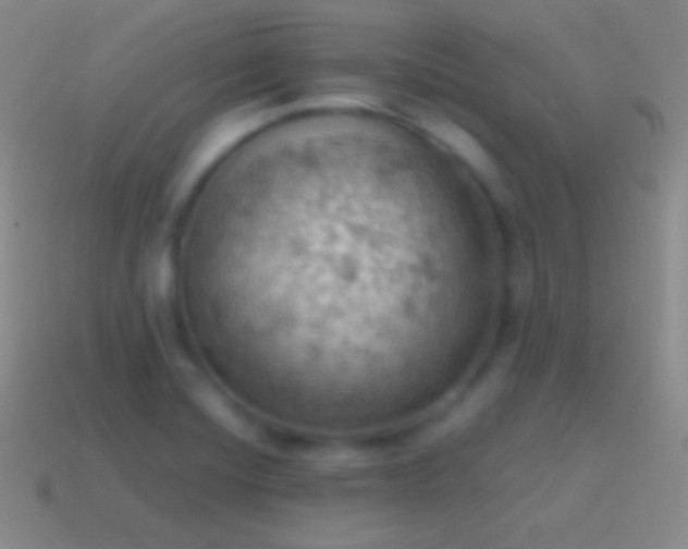 X0000115591420200911101229