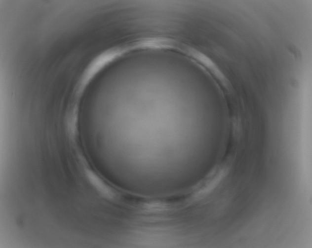 X0000115591421200911101229