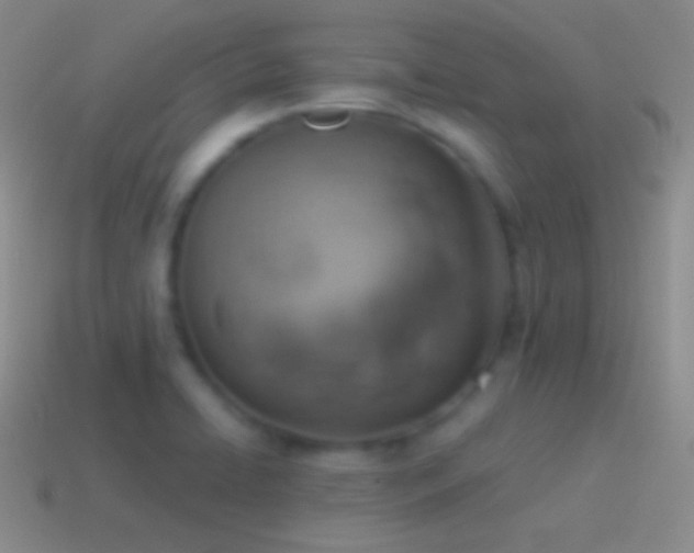 X0000115591422200911101229