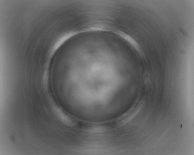 X0000115591423200911101229