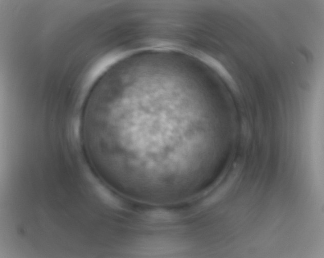 X0000115591424200911101229