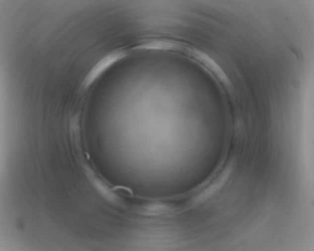 X0000115591425200911101229