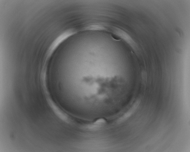 X0000115591426200911101229