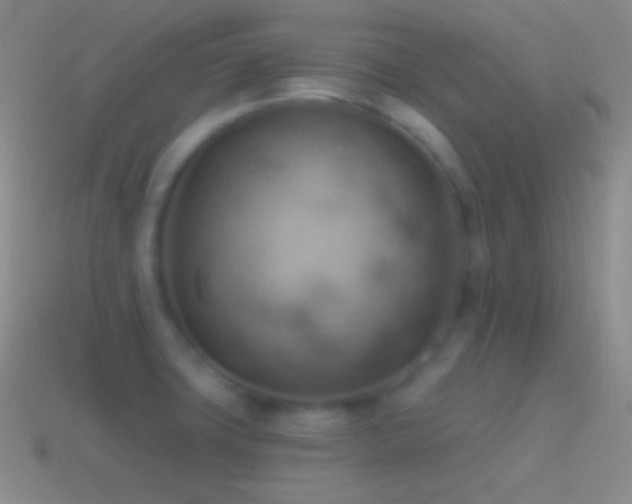 X0000115591427200911101229