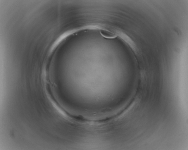 X0000115591428200911101229