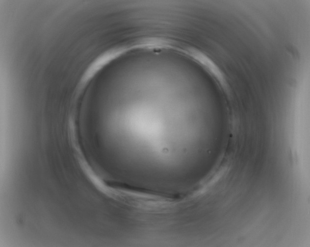 X0000115591429200911101229