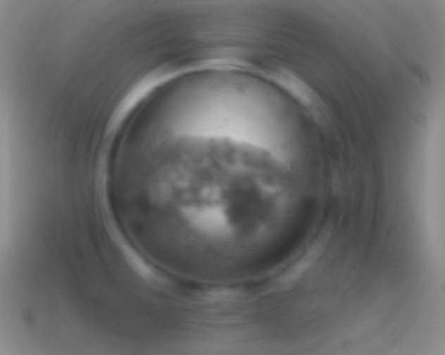 X0000115591430200911101229