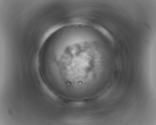 X0000115591431200911101229