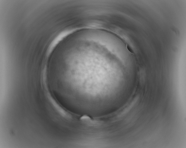 X0000115591432200911101229