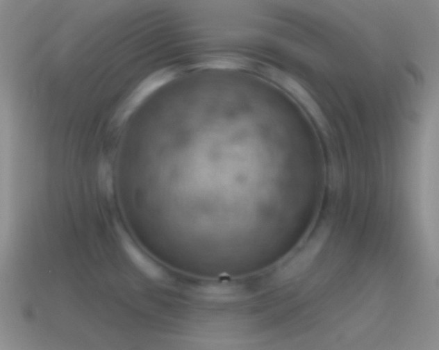 X0000115591433200911101229