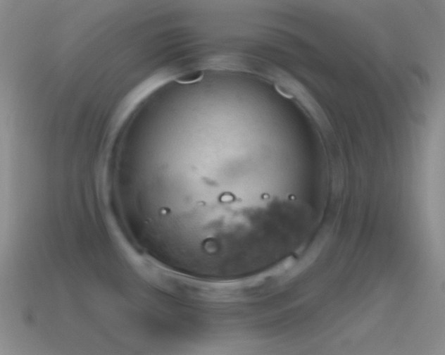 X0000115591434200911101229