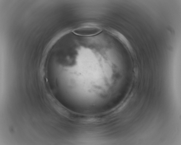 X0000115591435200911101229