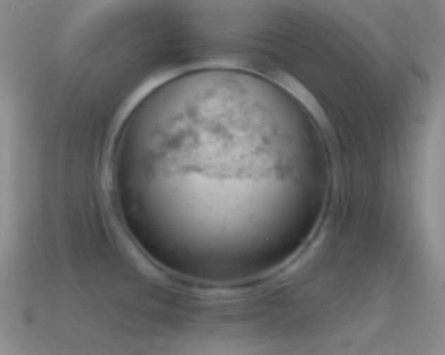 X0000115591436200911101229