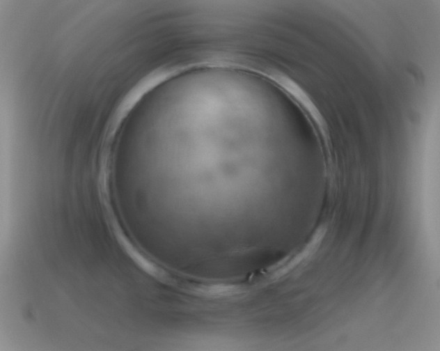 X0000115591437200911101229