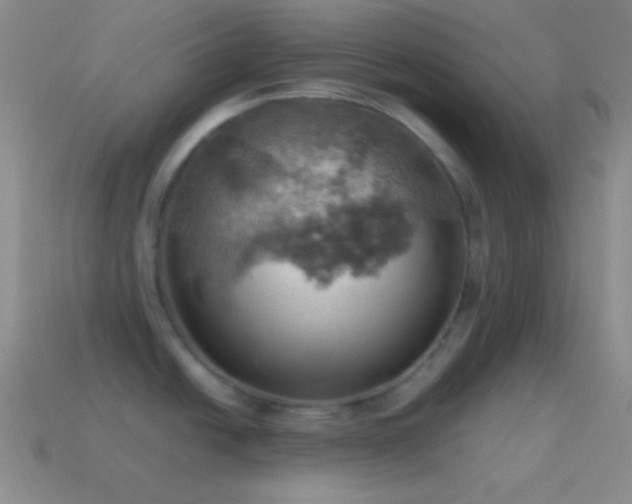 X0000115591438200911101229