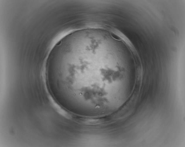 X0000115591439200911101229