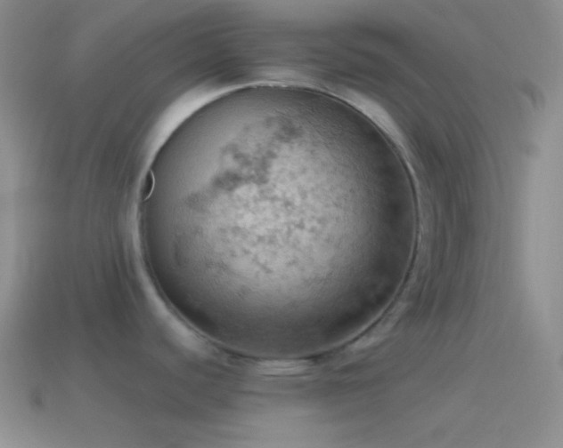 X0000115591440200911101229