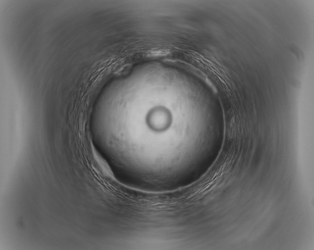 X0000115591441200911101229