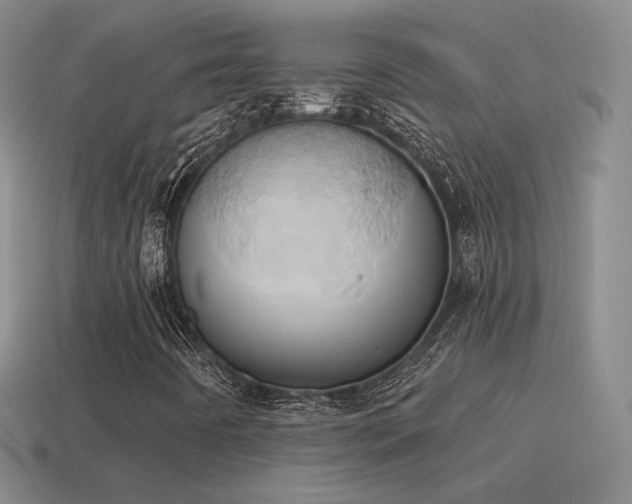 X0000115591442200911101229