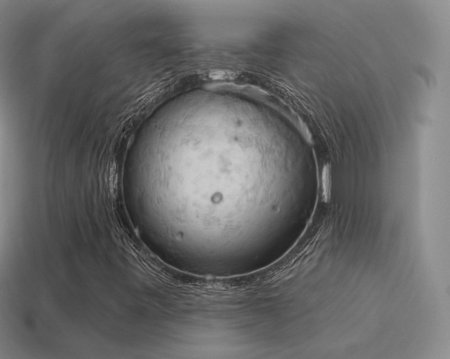 X0000115591443200911101229