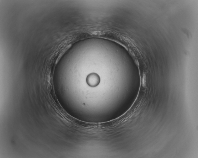 X0000115591444200911101229