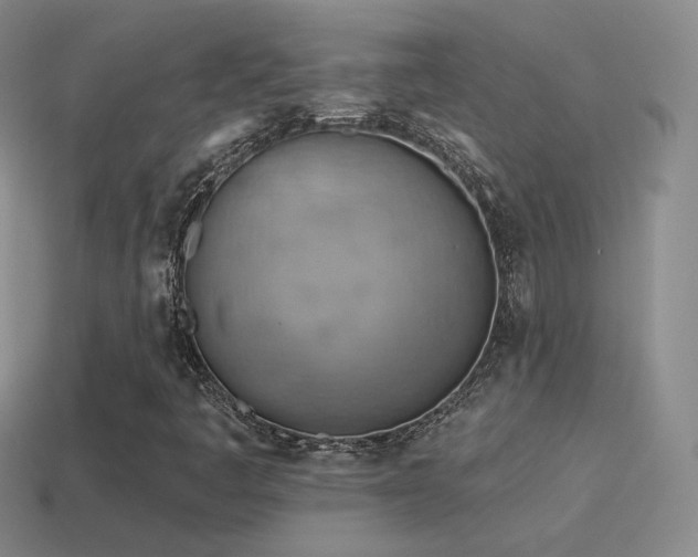 X0000115591445200911101229