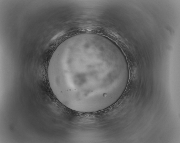 X0000115591446200911101229