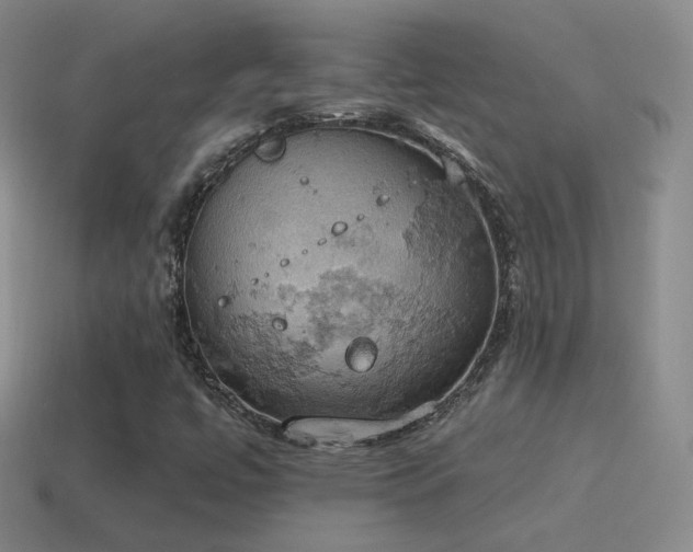 X0000115591447200911101229