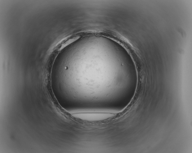 X0000115591448200911101229