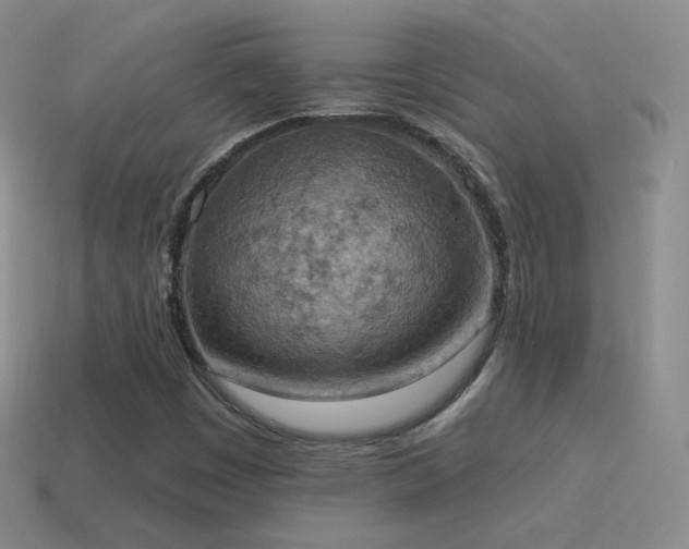 X0000115591449200911101229