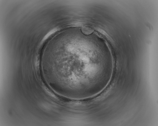 X0000115591450200911101229