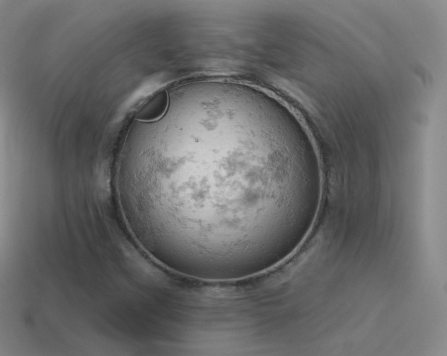 X0000115591451200911101229