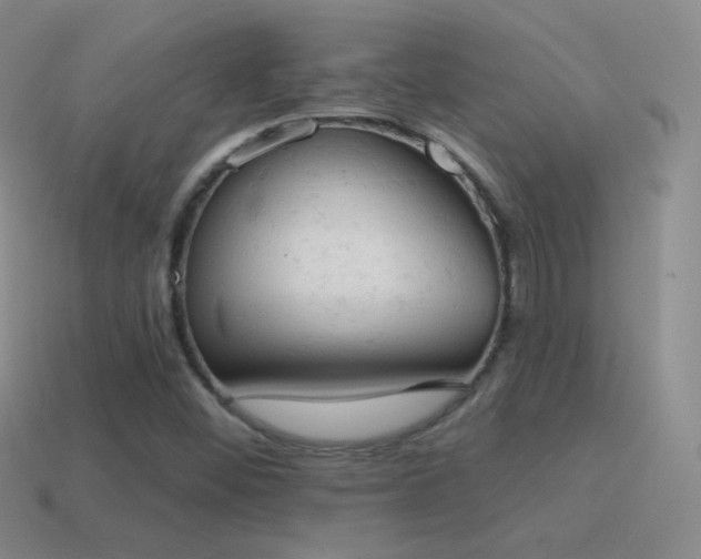 X0000115591452200911101229