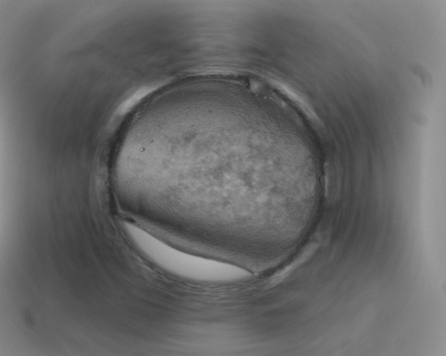 X0000115591453200911101229