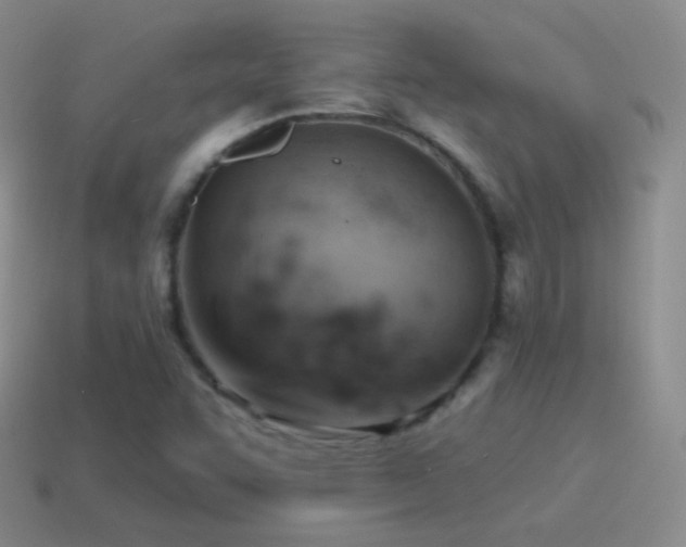 X0000115591455200911101229